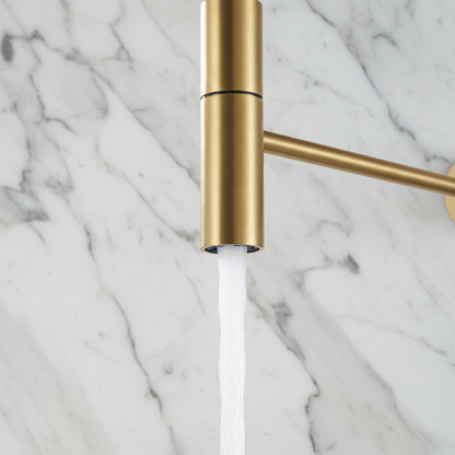 Angelica semi-professionele keukenkraan – uittrekbare spray – geborsteld goud